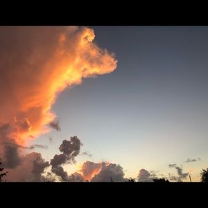 Meet your Posher, Sacha